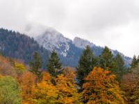 Wolkenverhangene Scheibenwand und Herbstbäume im Tal bei Aschau